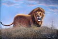 Mugwe Lion Roar aus Afrika